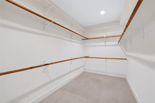 spacious closet with light carpet