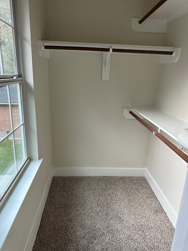 spacious closet featuring carpet floors