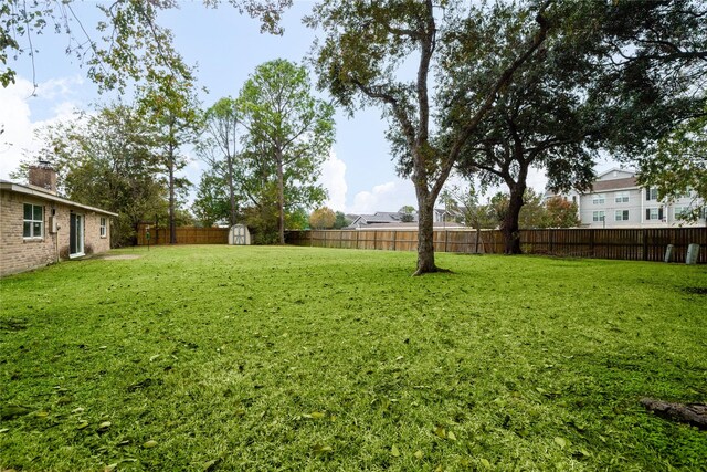 view of yard featuring a storage shed