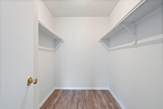 spacious closet with hardwood / wood-style floors