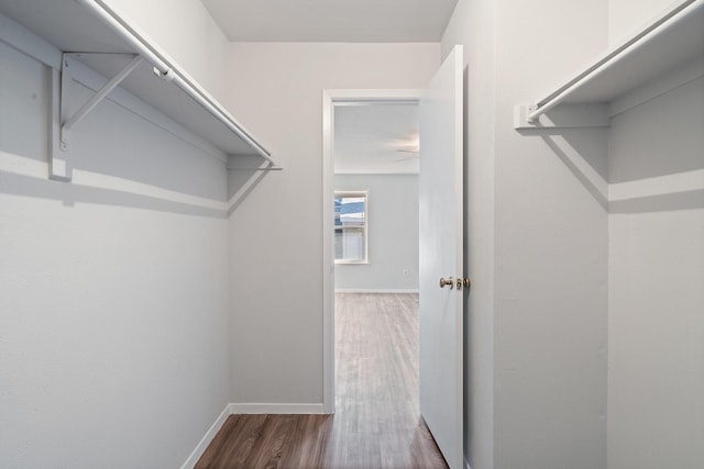 spacious closet featuring wood-type flooring