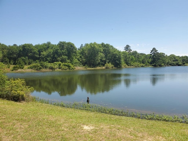 view of water feature