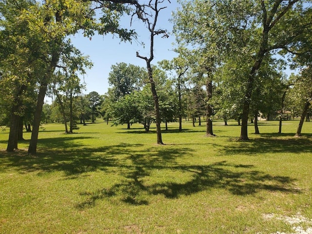 view of home's community with a lawn