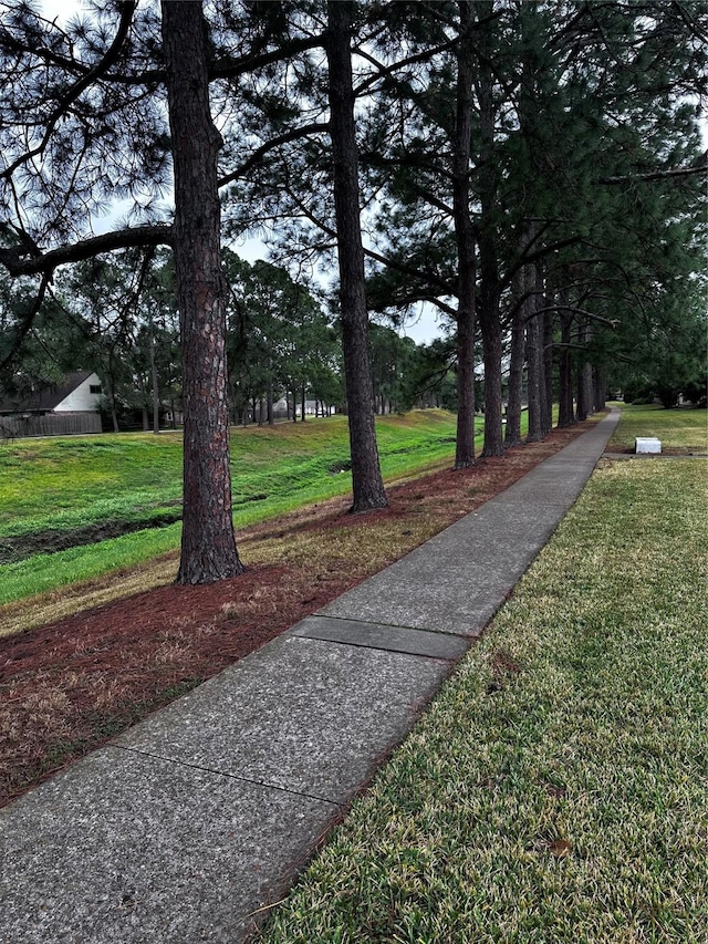 view of community featuring a yard