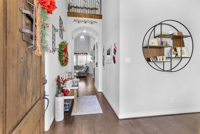 foyer entrance with dark hardwood / wood-style flooring and a high ceiling