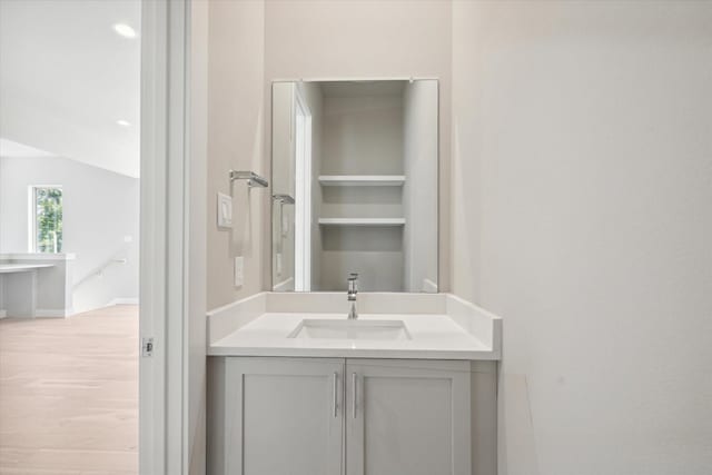 bathroom with vanity and wood-type flooring