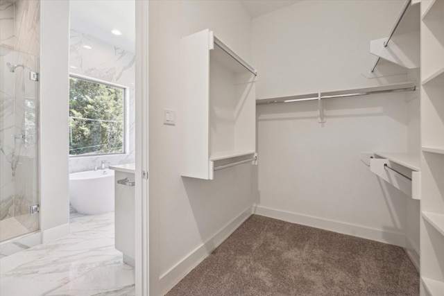 spacious closet featuring carpet flooring