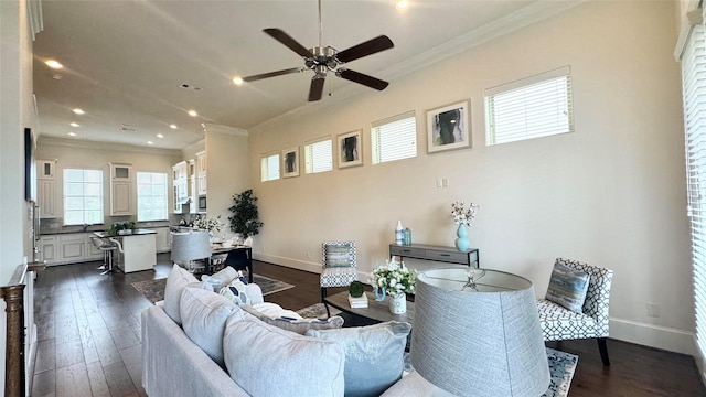 living room featuring dark hardwood / wood-style floors, ceiling fan, crown molding, and sink