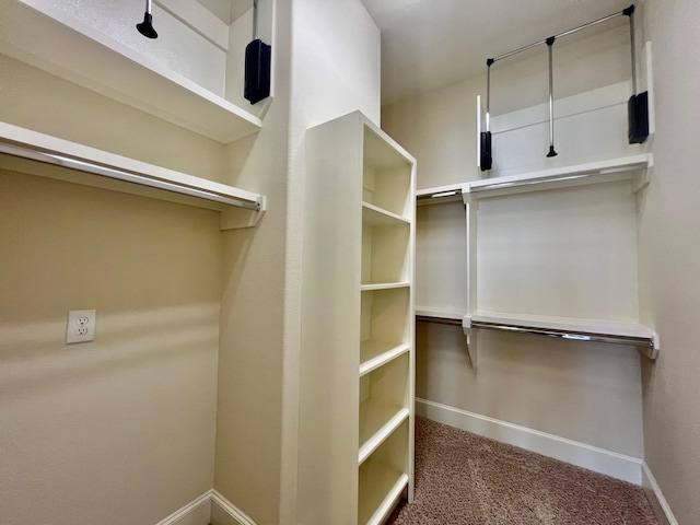 spacious closet with carpet flooring