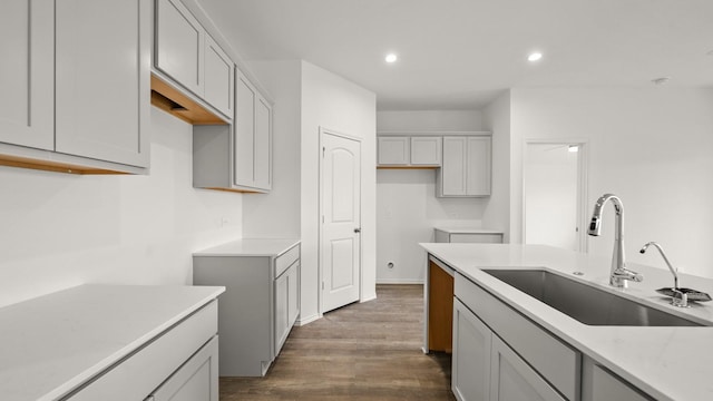 kitchen featuring dark hardwood / wood-style floors and sink