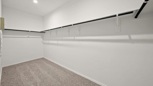 walk in closet featuring carpet floors