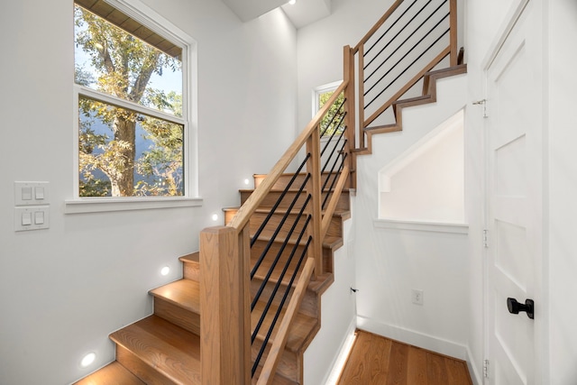 stairway with wood-type flooring