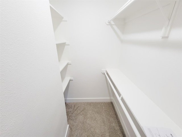 walk in closet with carpet floors