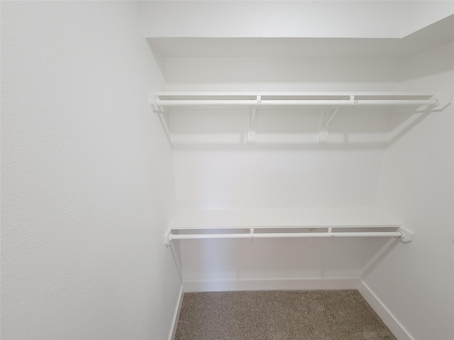 walk in closet with carpet flooring