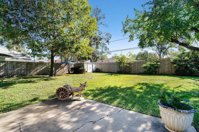 view of yard featuring a patio, a storage shed, an outbuilding, and a fenced backyard