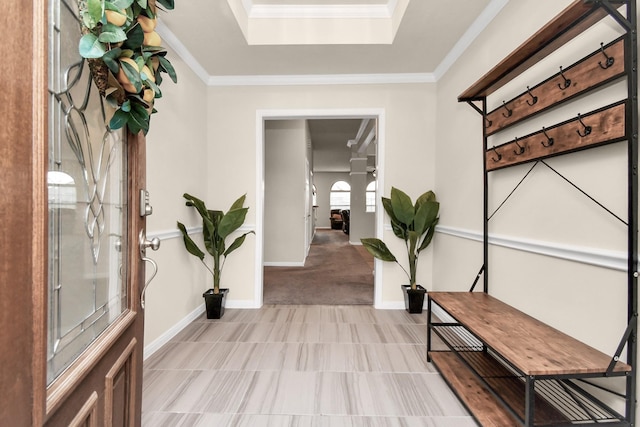 carpeted foyer entrance with a skylight, a raised ceiling, and ornamental molding