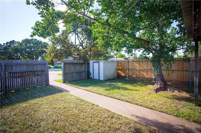 view of yard with a storage unit