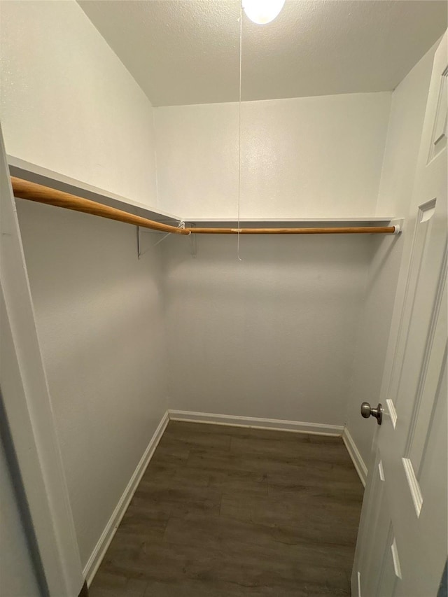 spacious closet featuring dark hardwood / wood-style floors