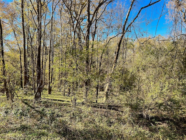 na County Road 112, Centerville, TX 75833