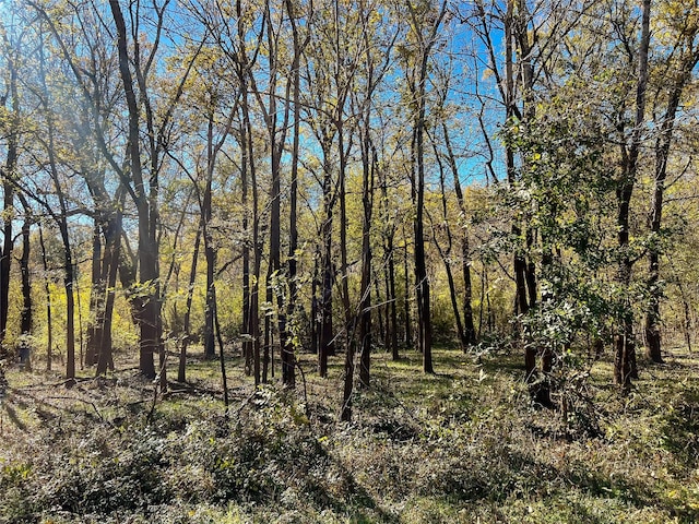 na County Road 112, Centerville, TX 75833