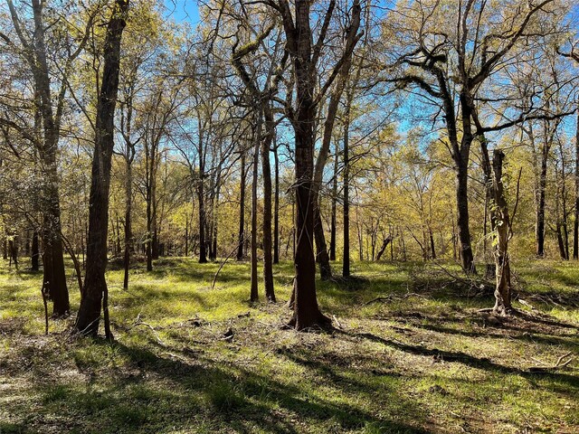 na County Road 112, Centerville, TX 75833