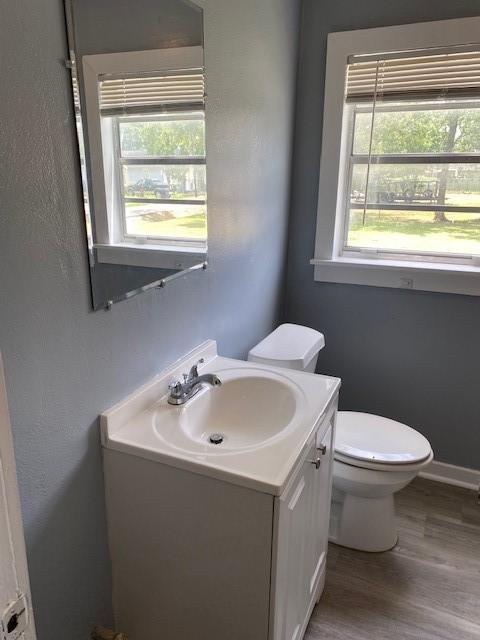 bathroom featuring vanity, toilet, wood-type flooring, and a wealth of natural light