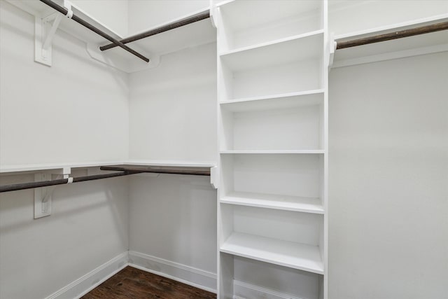 spacious closet featuring dark hardwood / wood-style flooring