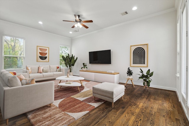 living room featuring crown molding, dark wood-type flooring, ceiling fan, and a healthy amount of sunlight