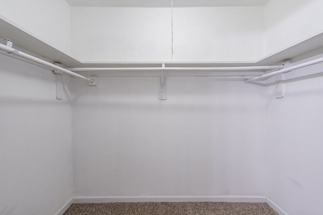 walk in closet with carpet