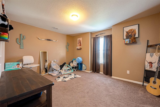 misc room featuring carpet and a textured ceiling