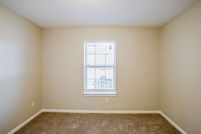 spare room featuring a textured ceiling and carpet floors