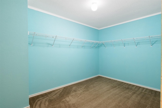 walk in closet featuring dark colored carpet