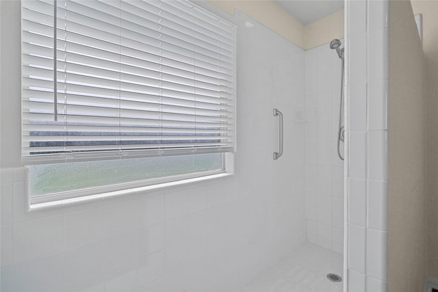 bathroom featuring a shower with shower door