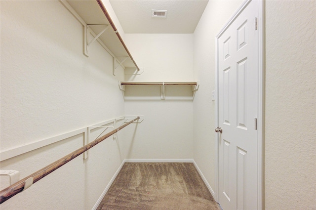 spacious closet with carpet flooring