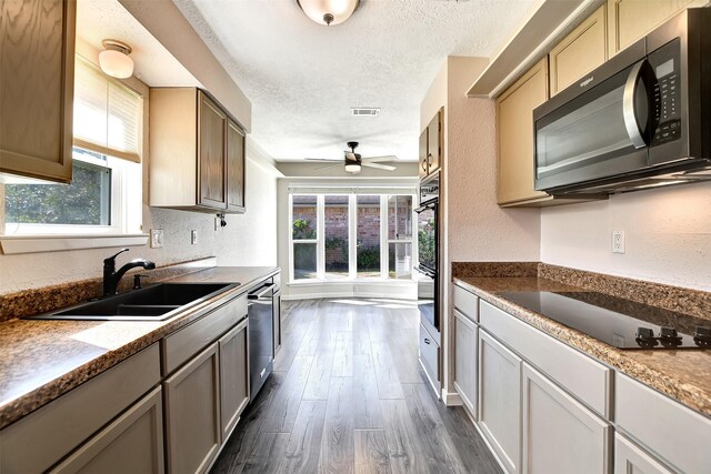 kitchen featuring sink, dark wood-type flooring, a healthy amount of sunlight, and black appliances