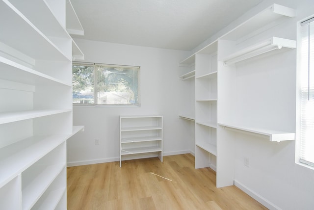 walk in closet featuring light hardwood / wood-style flooring