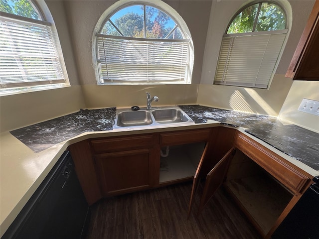 kitchen featuring a healthy amount of sunlight, sink, black dishwasher, and dark wood-type flooring