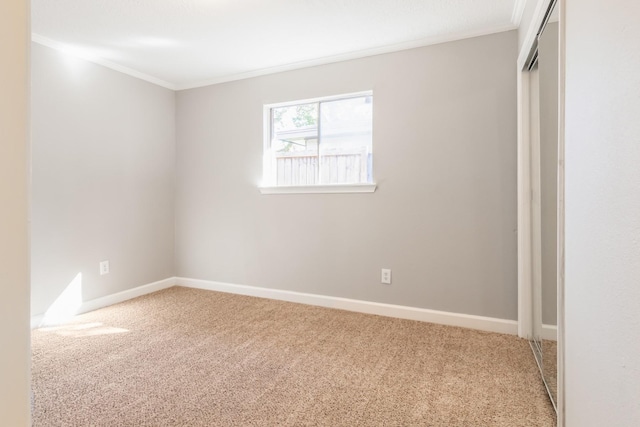 spare room with carpet floors and ornamental molding