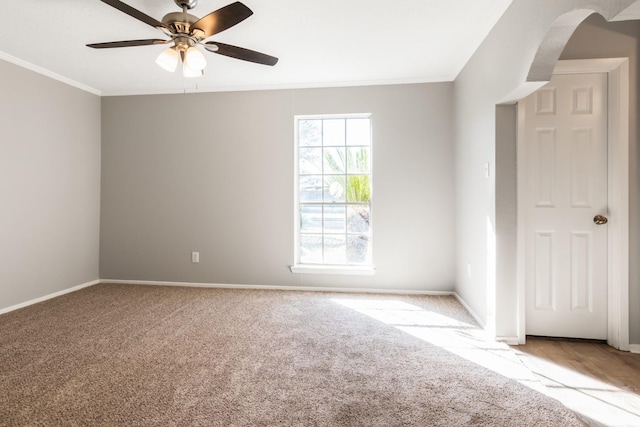 carpeted spare room featuring ceiling fan and crown molding