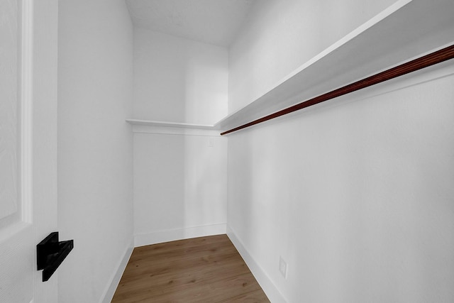 spacious closet with hardwood / wood-style flooring