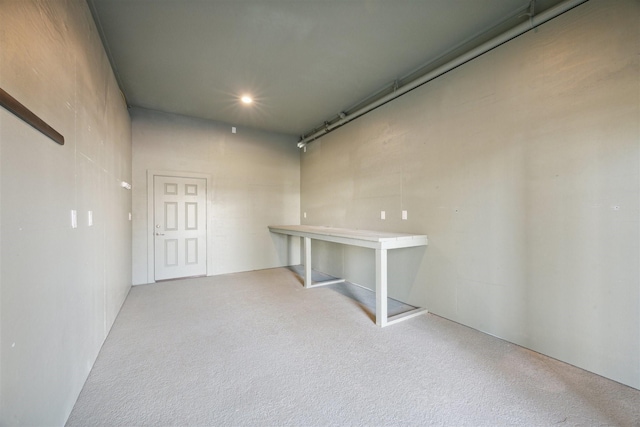 basement featuring carpet floors