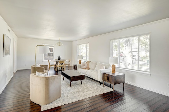 living room featuring crown molding, a chandelier, and dark hardwood / wood-style floors