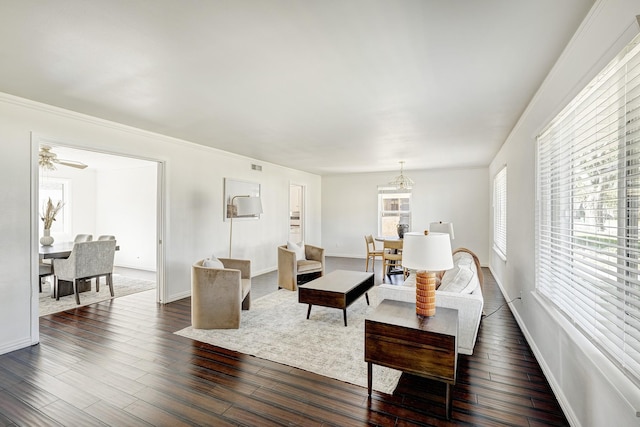 living room with crown molding, dark hardwood / wood-style flooring, and ceiling fan with notable chandelier