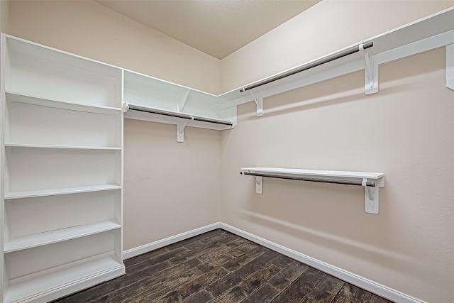 walk in closet featuring dark hardwood / wood-style flooring