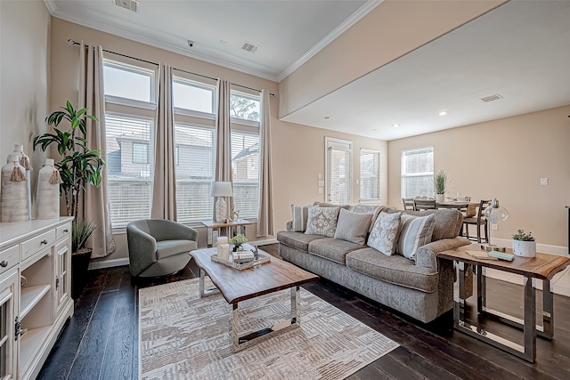 living room featuring dark hardwood / wood-style floors and ornamental molding