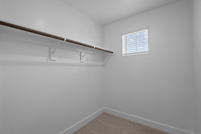 31915 Splendor Dr, Fulshear, TX 77441 - spacious closet featuring carpet floors