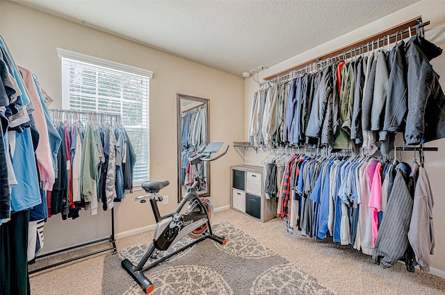 walk in closet featuring carpet floors