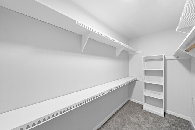 spacious closet featuring carpet