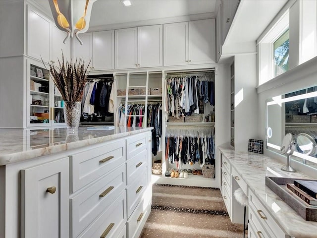 view of walk in closet