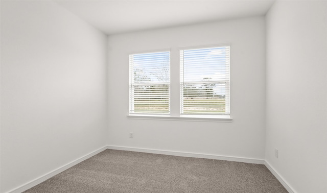 unfurnished room featuring carpet